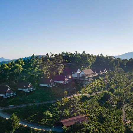 אלה Anasa Wellness Resort מראה חיצוני תמונה
